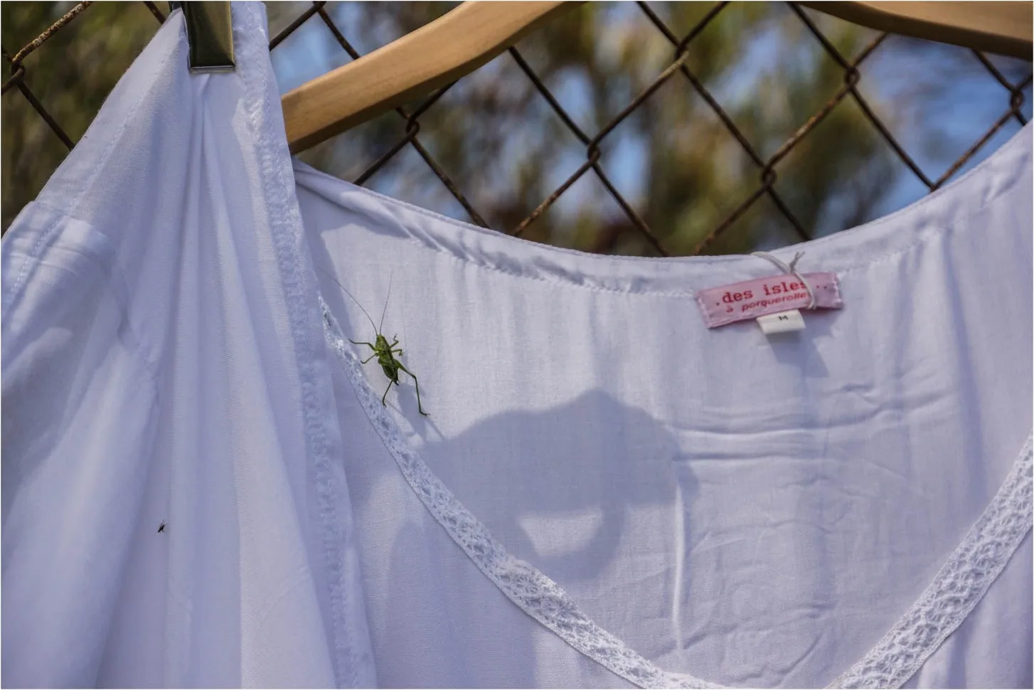 Blouse blanche bordée de dentelle séchant au cintre, sauterelle verte sur le tissu, jardin à Porquerolles.