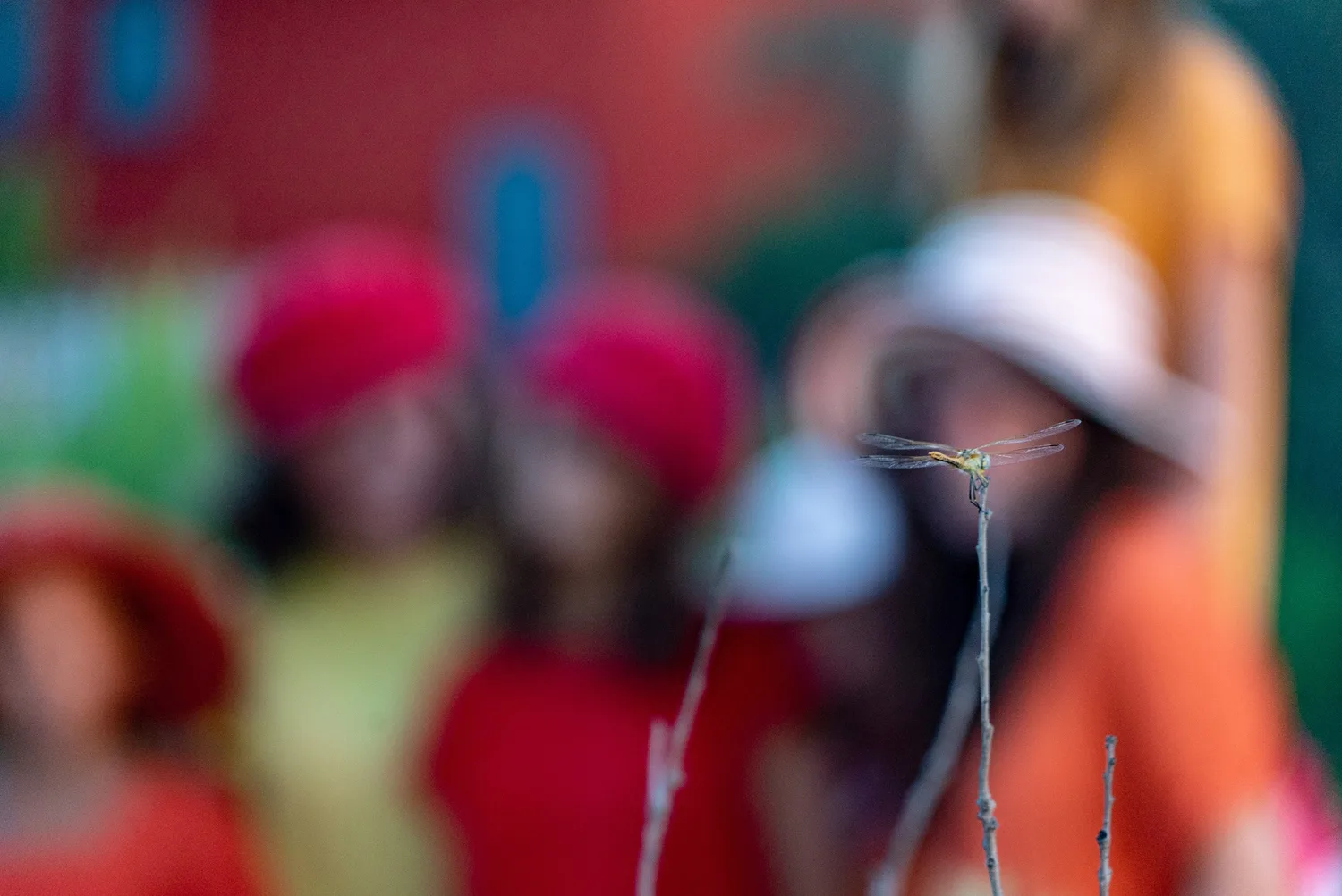 Libellule posée sur une brindille, enfants en rouge et orange flous à l'arrière-plan, à Porquerolles.