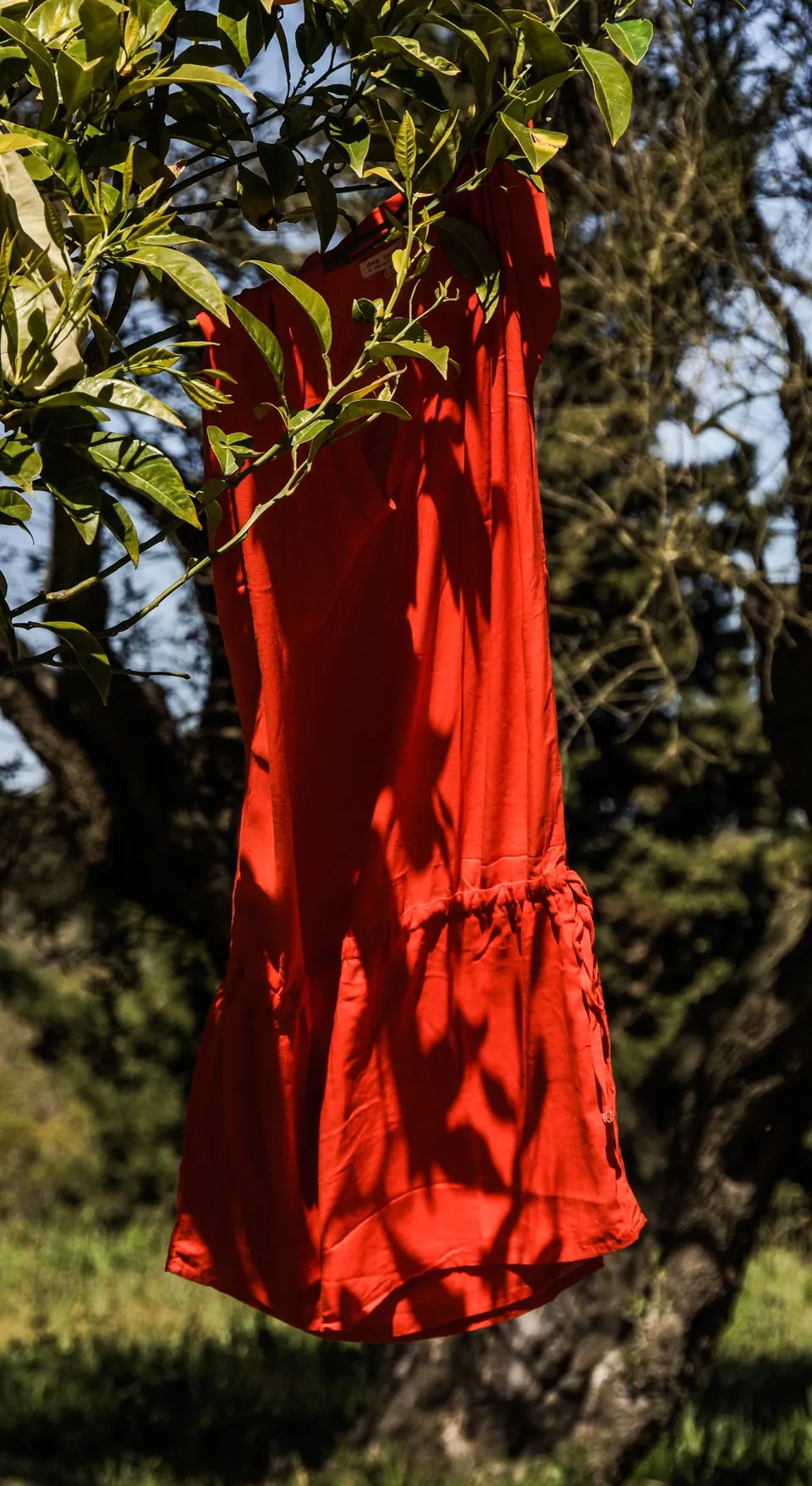 Robe rouge suspendue à une branche d’oranger, vue à travers les feuilles.