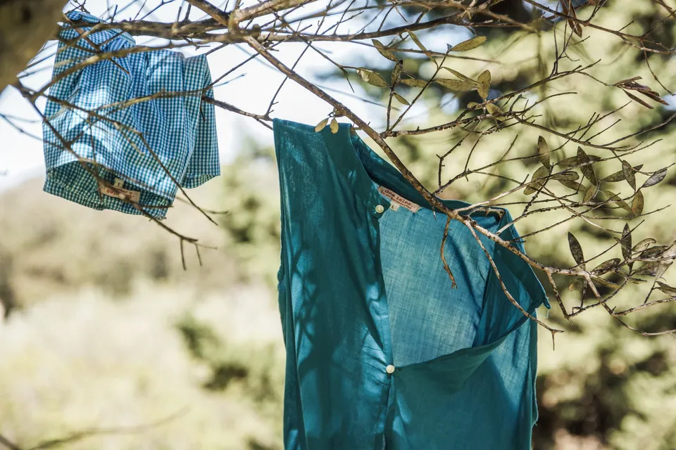 Vêtements bleus suspendus dans un arbre à Porquerolles.