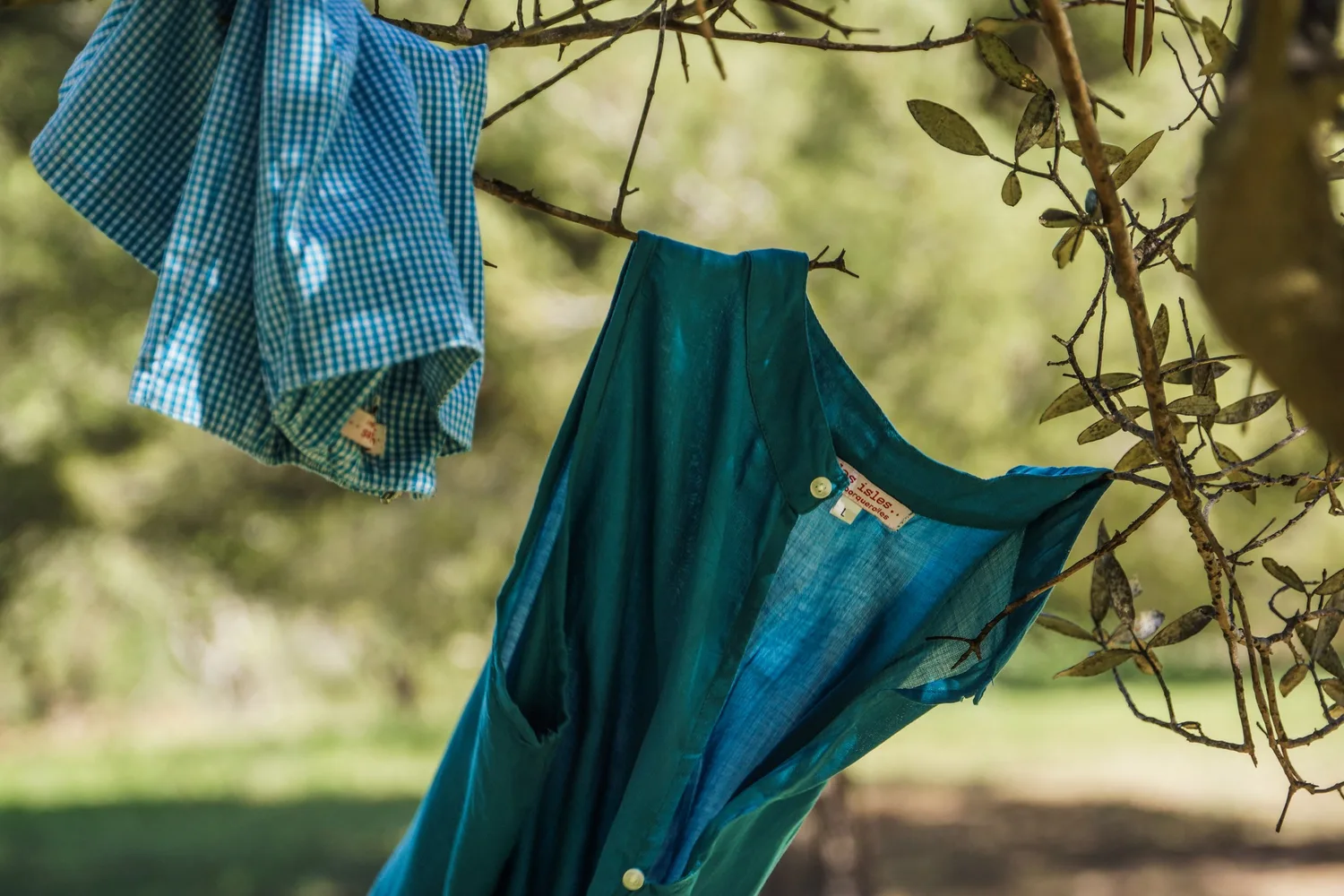 Vêtements bleus suspendus dans un arbre à Porquerolles.
