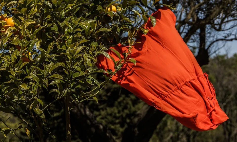 Robe orange suspendue dans un arbre fruitier à Porquerolles.