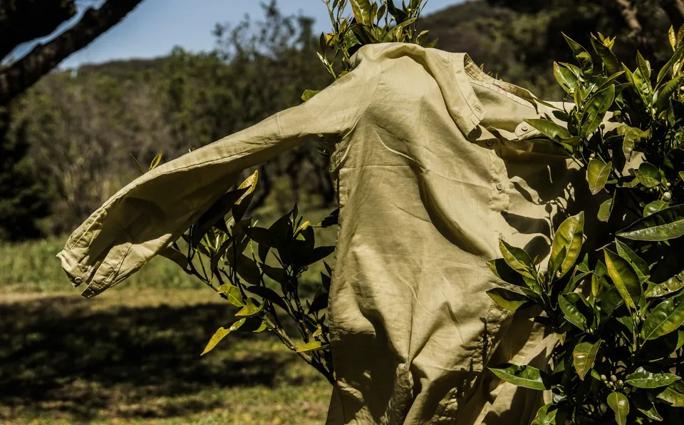 Vêtements en tissu clair et orange suspendus dans un arbre à Porquerolles.