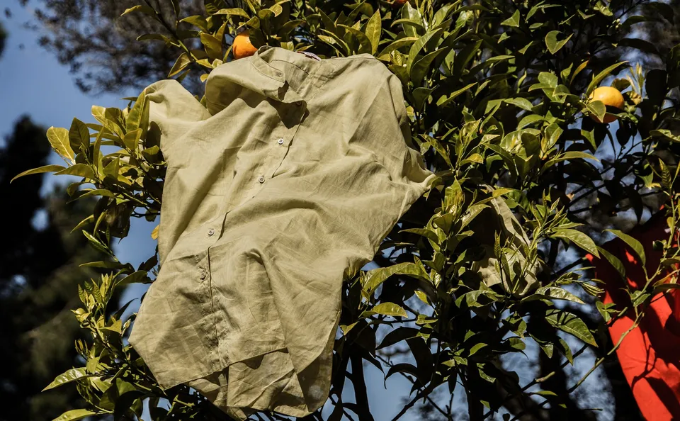 Vêtements en tissu clair et orange suspendus dans un arbre à Porquerolles.