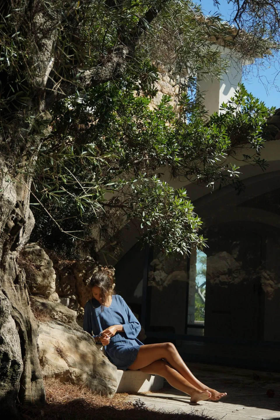 Femme en robe de coton bleu assise au pied d'un olivier, feuillage argenté au-dessus, dans une cour à Porquerolles.