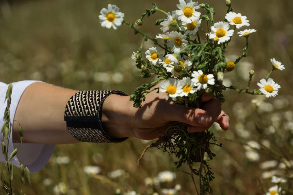 Détail d'un bras tendu portant une manchette tissée, bouquet de marguerites à la main.